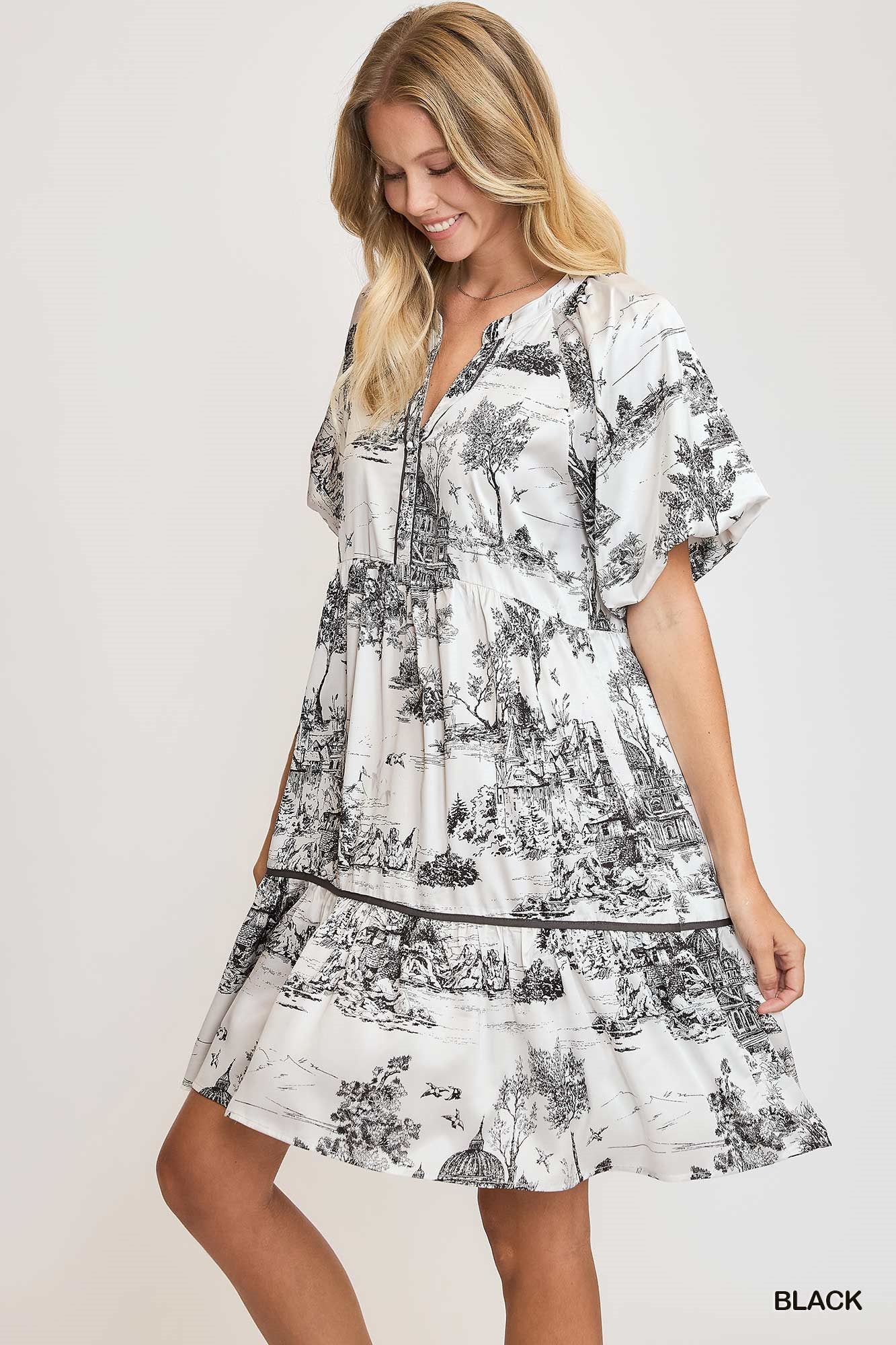landscape print dress