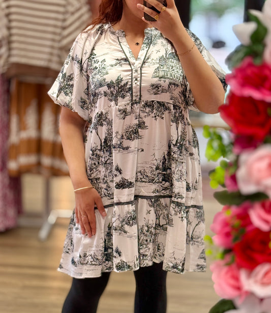 landscape print dress